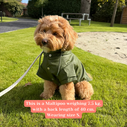 Regenjas hond Groen - Nora-Lou