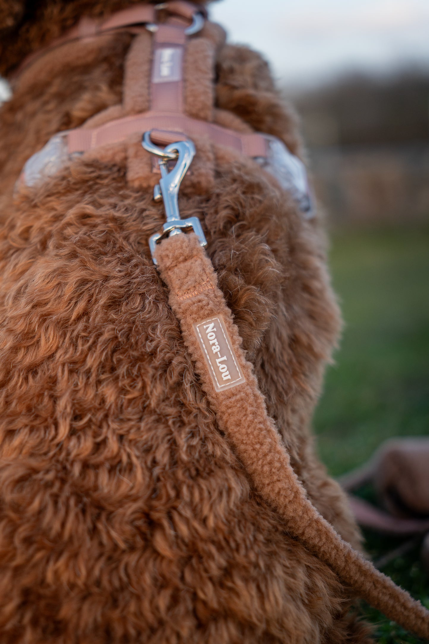 Nora-Lou Leiband Teddy Bruin - Nora-Lou