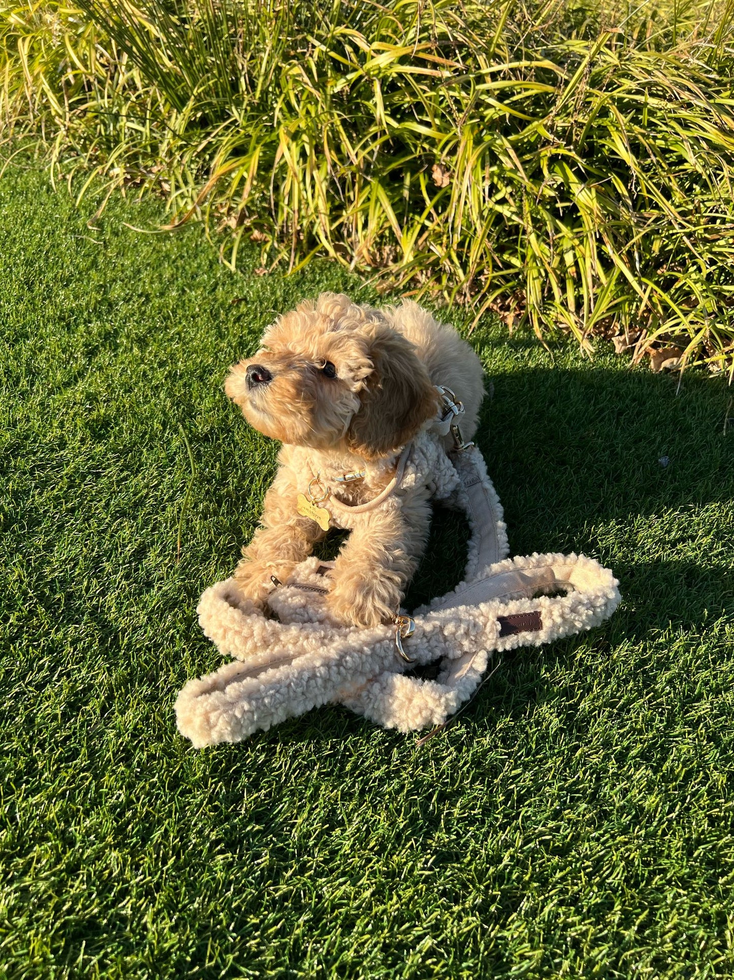 Flamingo Poepzakhouder Teddy Beige