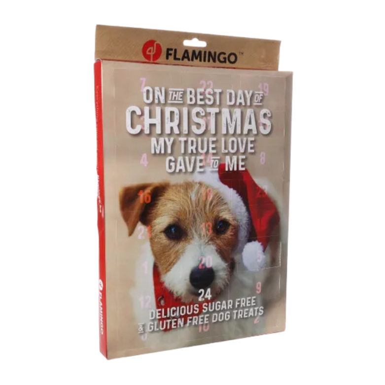 Adventskalender hond - Nora-Lou