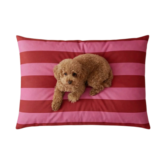 Hondenkussen Stripes Bordeaux-roze (75x60cm)