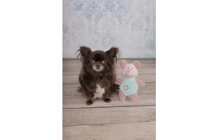 Speelgoed Small dog varken oudroze - Nora-Lou