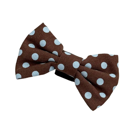Cocopup London strik BISCOTTI BLUE