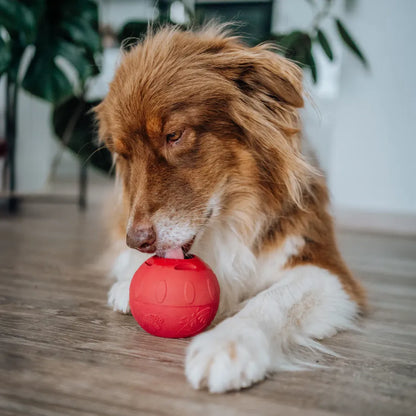 Lickball