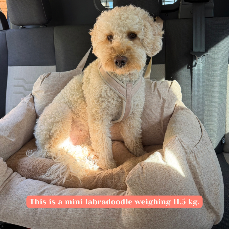 Flamingo Autostoel/automand Megan Beige (groot) - Nora-Lou