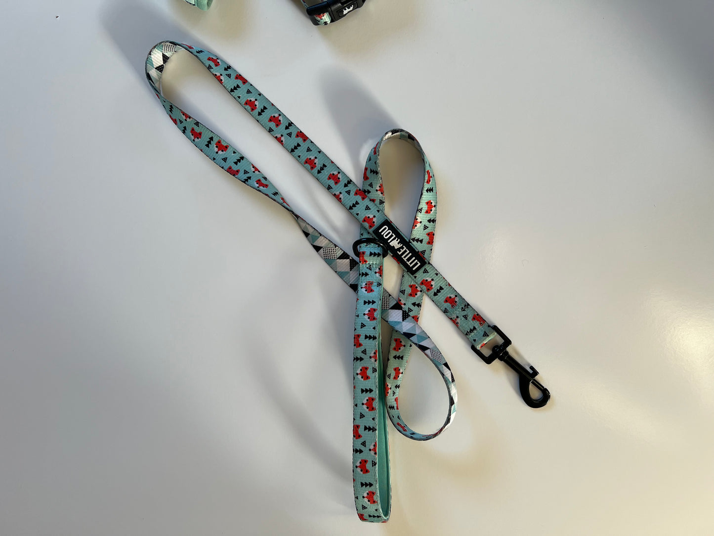 Ensemble Mr. Fox (harnais + laisse) taille S