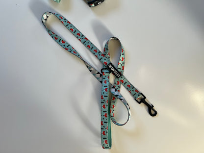 Ensemble Mr. Fox (harnais + laisse) taille S