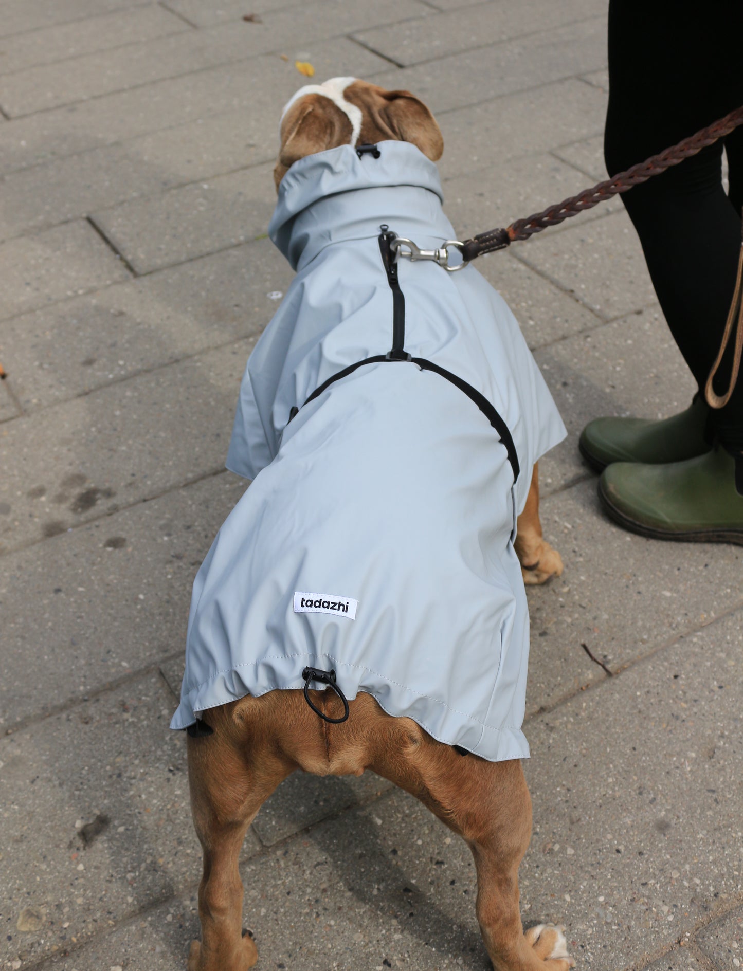 Lichtgrijze regenjas voor honden
