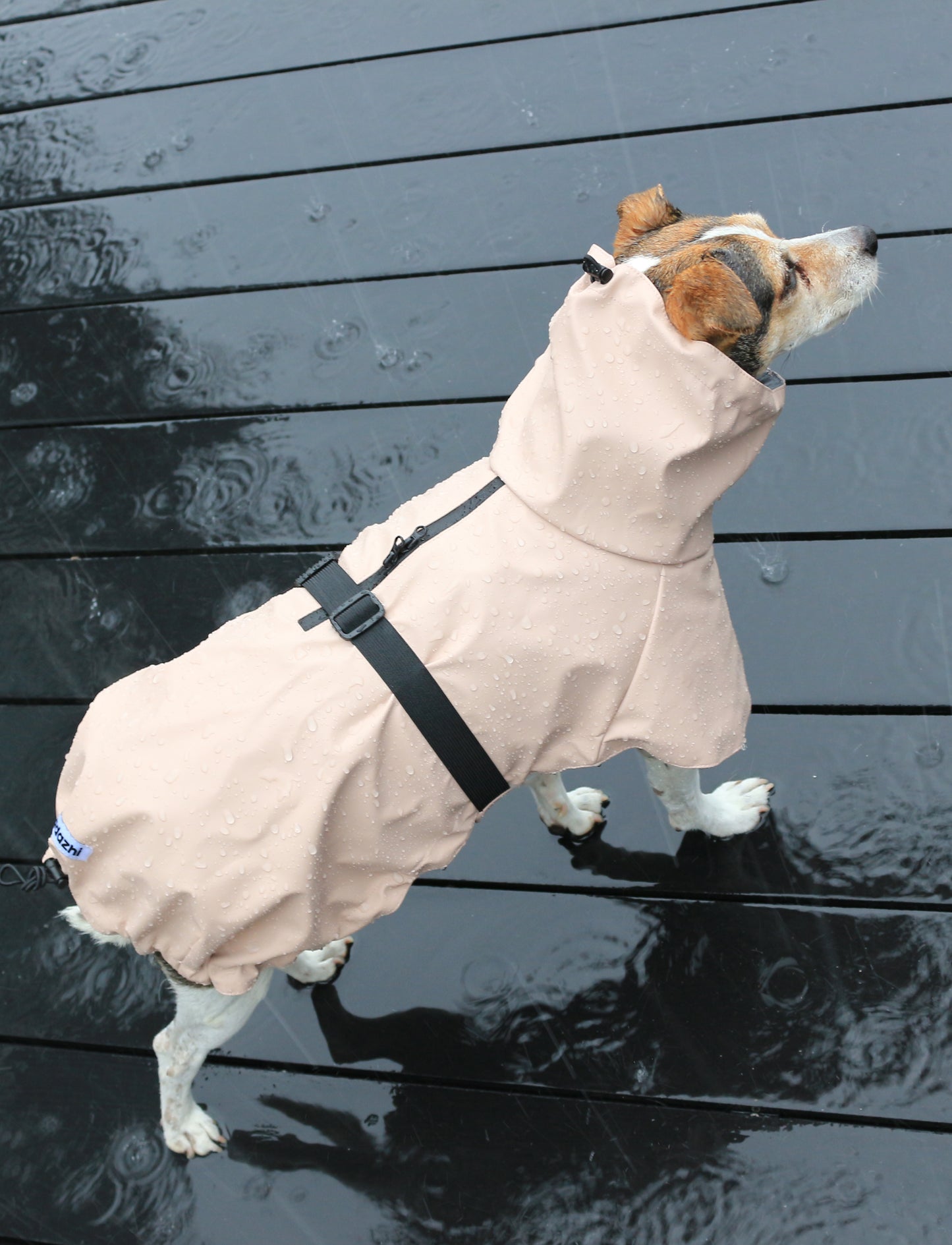 Roze regenjas voor honden