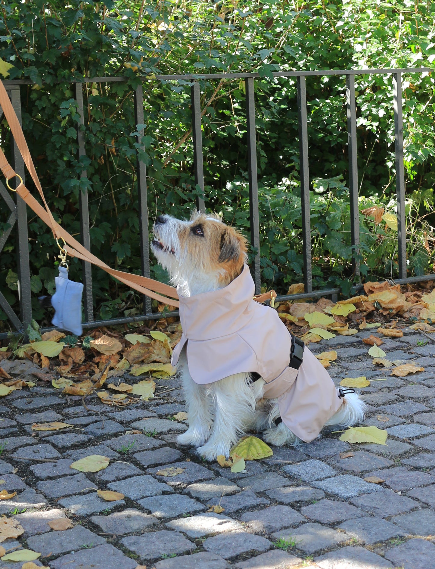 Roze regenjas voor honden