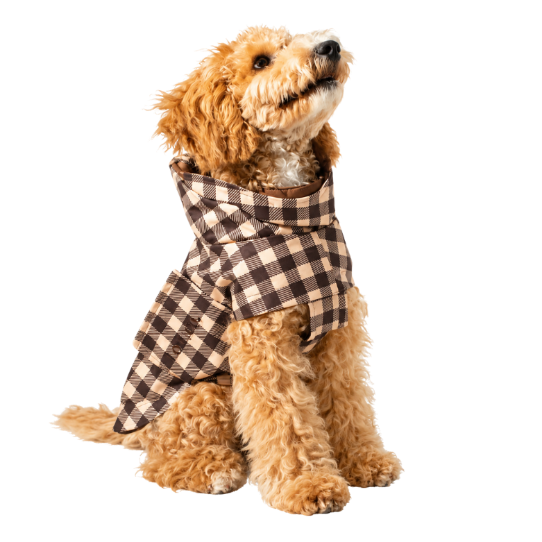 Regenjas hond Checked Brown