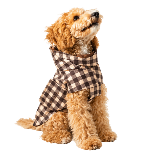 Regenjas hond Checked Brown