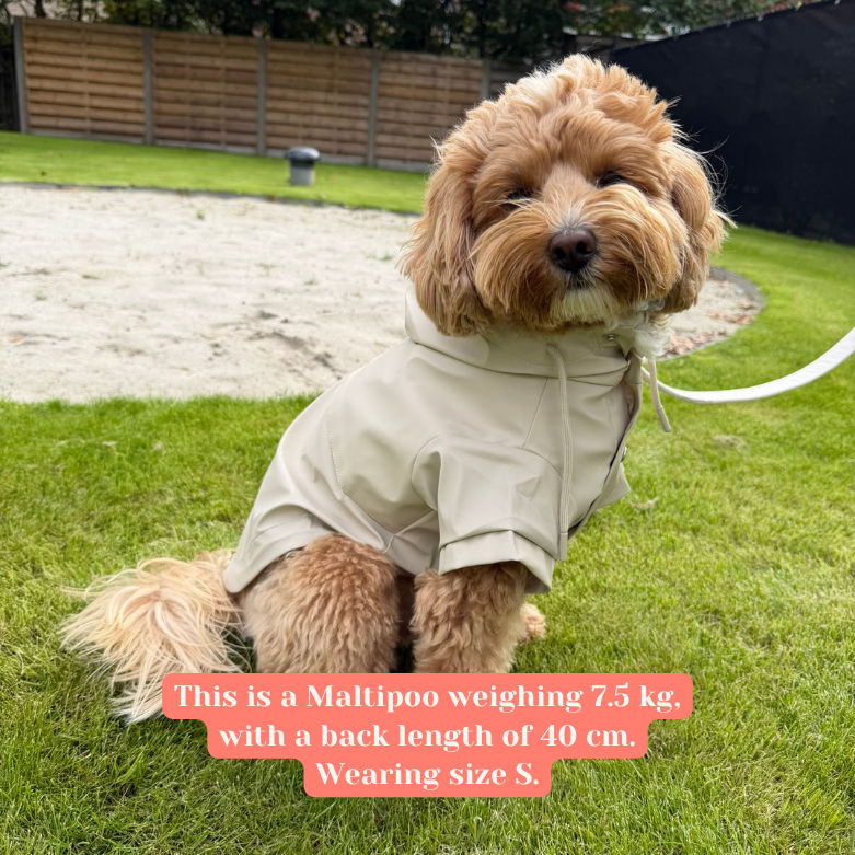 Regenjas hond Beige - Nora-Lou