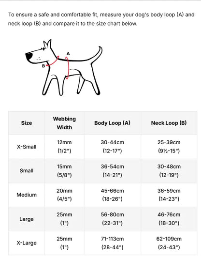 Set: Paw Impressions