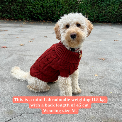 Gebreide trui voor honden - blauw - Nora-Lou