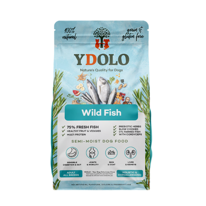 YDOLO Healthy & Pure Wild Fish