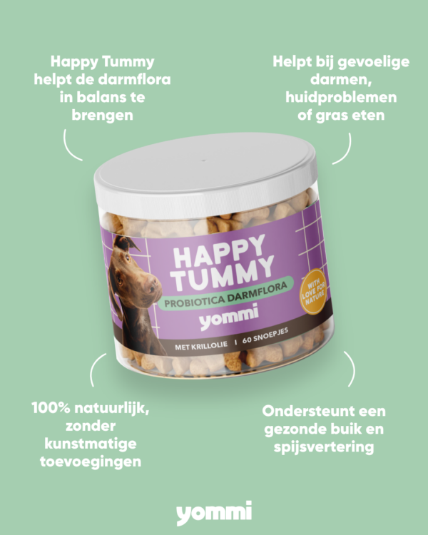 Yommi Happy Tummy - Nora-Lou