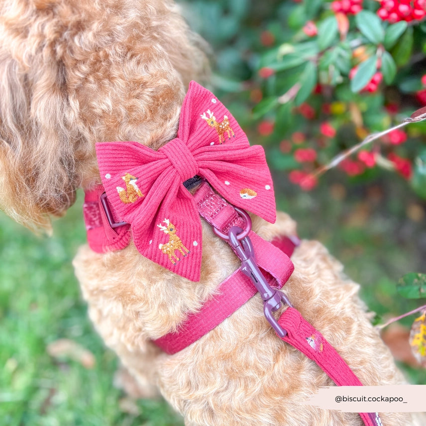 Cocopup Holly Jolly Trails Matrozenstrikje