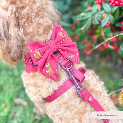 Cocopup Holly Jolly Trails Matrozenstrikje