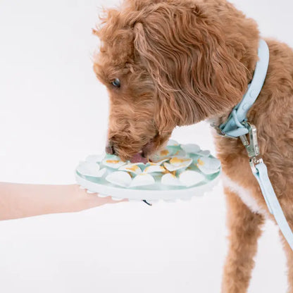 Sky Blue Circular Enrichment Lick Mat