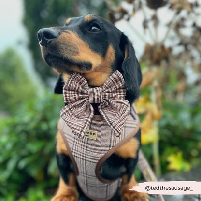 Cocopup Strikje Pup Plaid