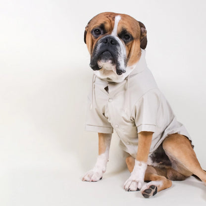 Regenjas hond Beige