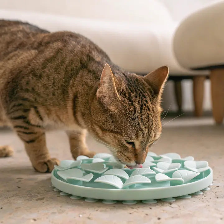Sky Blue Circular Enrichment Lick Mat