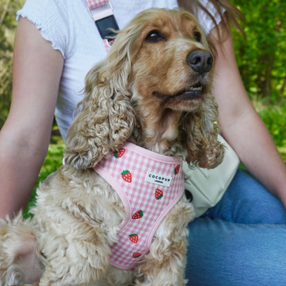 Cocopup harnas verstelbaar STRAWBERRY