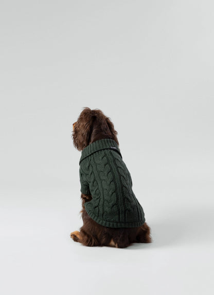 Gebreide trui voor honden - groen