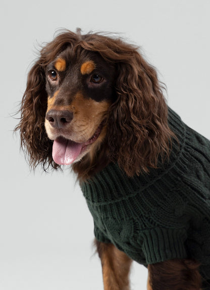 Gebreide trui voor honden - groen