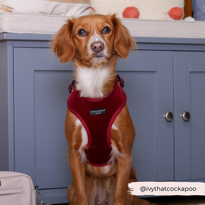 Cocopup harnas verstelbaar Berry Red