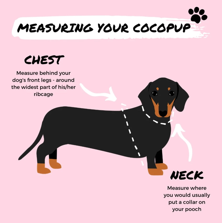 PRE-ORDER Cocopup Teddy harnas verstelbaar RUPERT