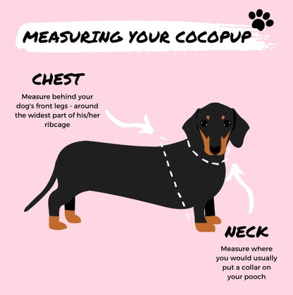 PRE-ORDER Cocopup Teddy harnas verstelbaar RUPERT