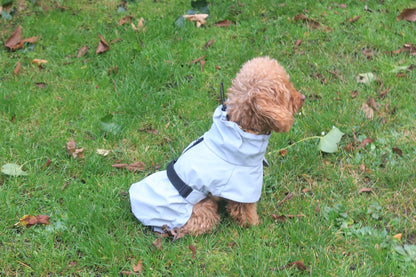 Lichtgrijze regenjas voor honden