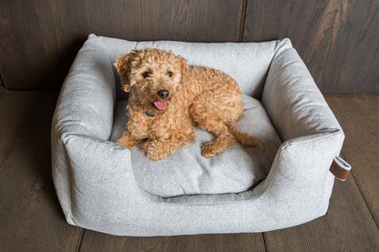 FANTAIL Orthopedic Snooze Origin Bed Silver Spoon