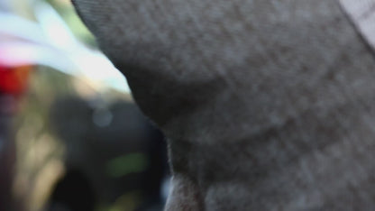 Flamingo Autostoel/automand Megan Beige (klein)