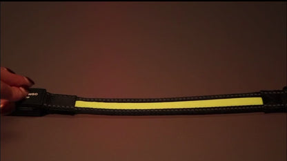 Halsband Lichtgevend Zwart & Geel